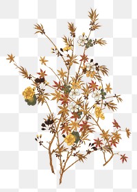 PNG Japanese Autumn flowers & tree, vintage botanical illustration, transparent background. Remixed by rawpixel.