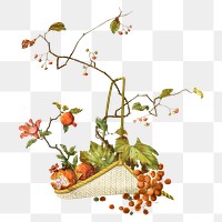 PNG Autumn fruit basket, Japanese botanical illustration, transparent background. Remixed by rawpixel.