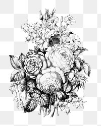 Flower bouquet png vintage illustration, transparent background. Remixed by rawpixel. 