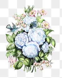 Flower bouquet png vintage illustration, transparent background. Remixed by rawpixel. 