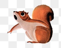 Squirrel png chromolithograph art, transparent background. Remixed by rawpixel. 