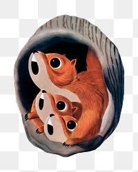 Squirrel png chromolithograph art, transparent background. Remixed by rawpixel. 