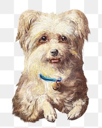 PNG Griffon Bruxelloi dog painting art, transparent background. Remixed by rawpixel. 