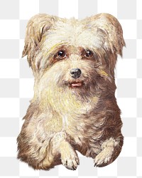 PNG Griffon Bruxelloi dog painting art, transparent background. Remixed by rawpixel. 