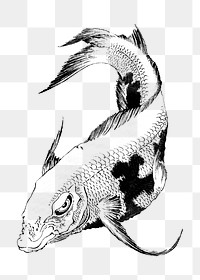 Koi fish png vintage illustration, transparent background. Remixed by rawpixel. 