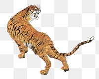 Tiger  png woodblock print, transparent background. Remixed by rawpixel. 