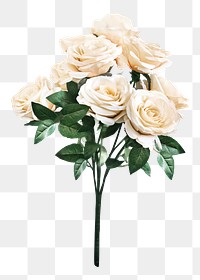 White roses png collage element, transparent background