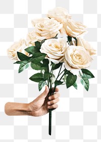 White roses png collage element, transparent background