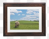 Sheep photo png wooden frame, transparent background