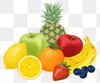 Fruits food png, aesthetic illustration, transparent background