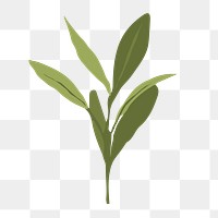 Green plant png environment illustration, transparent background