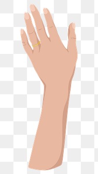 Married png woman hand, transparent background