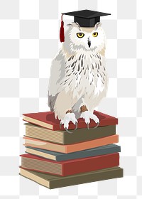  Graduation owl png, education transparent background