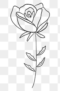 Rose png line art, transparent background