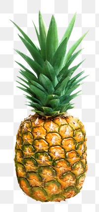 Tropical pineapple png, transparent background