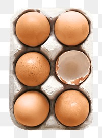 Fresh organic eggs png, transparent background