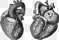 Png Vintage Hearts collage element, transparent background