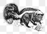 Png Line art of skunk with it collage element, transparent background