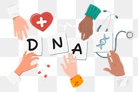 DNA png diverse hands, health & wellness remix, transparent background