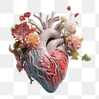 Flower petal plant heart.  PNG with transparent background.