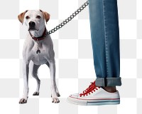 Footwear mammal animal leash.  PNG with transparent background.