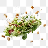 Vegetable lettuce food meal.  PNG with transparent background.