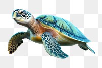 Reptile animal wildlife tortoise.  PNG with transparent background.