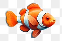 Goldfish animal pomacentridae pomacanthidae.  PNG with transparent background.