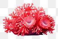 Nature plant sea invertebrate. AI generated Image by rawpixel.