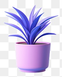 Plant vase bromeliaceae houseplant.  PNG with transparent background.