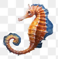 Seahorse animal invertebrate cephalopod. AI generated Image by rawpixel.