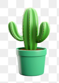 Cactus plant houseplant freshness.  PNG with transparent background.