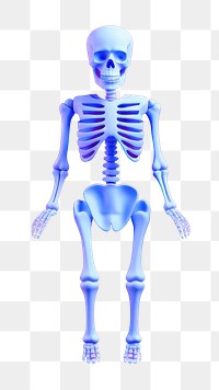 Fracture skeleton anatomy cartoon.  PNG with transparent background.