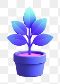 Plant leaf houseplant fragility.  PNG with transparent background.