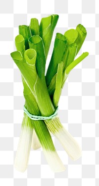 Spring onion png, healthy food, transparent background