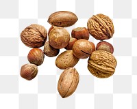 Png walnuts, hazelnuts, and macadamia nuts on transparent background