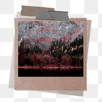 PNG Dark forest instant film frame, transparent background