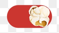 PNG Popcorn slide icon, transparent background