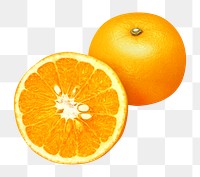 Orange fruit png, transparent background