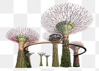Png Gardens by the Bay in Singapore, transparent background