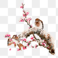 PNG Bird, vintage animal painting by G.A. Audsley-Japanese illustration, transparent background. Remixed by rawpixel.