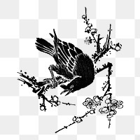 PNG Crow bird, vintage animal illustration. , transparent background. Remixed by rawpixel.