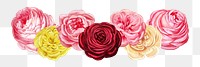 PNG Pink rose flowers divider, vintage botanical illustration on transparent background  by François-Frédéric Grobon. Remixed by rawpixel.