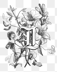 PNG L capital letter, botanical English alphabet on transparent background by François-Frédéric Grobon. Remixed by rawpixel.