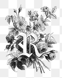 PNG R capital letter, botanical English alphabet on transparent background by Fran&ccedil;ois-Fr&eacute;d&eacute;ric Grobon. Remixed by rawpixel.