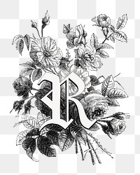 PNG R capital letter, botanical English alphabet on transparent background by François-Frédéric Grobon. Remixed by rawpixel.