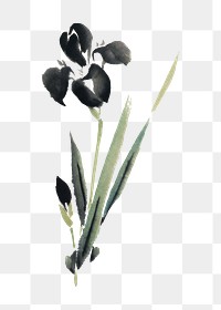 Ukiyo-e Iris flower png illustration, transparent background. Remixed by rawpixel.