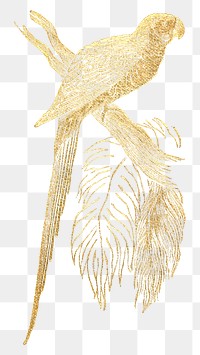 Vintage bird png gold parrot, transparent background. Remixed by rawpixel.