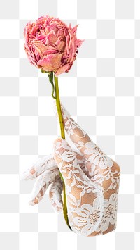 PNG Woman in a lace glove with a dried pink peony flower, collage element, transparent background.