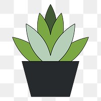 PNG Houseplant pot, flat illustration, transparent background
